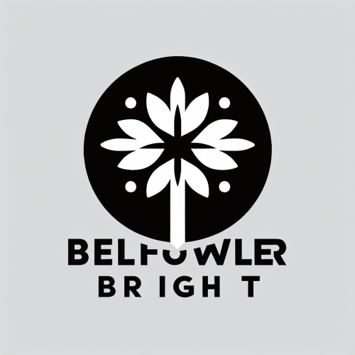 BellflowerBright Appliance Repair logo